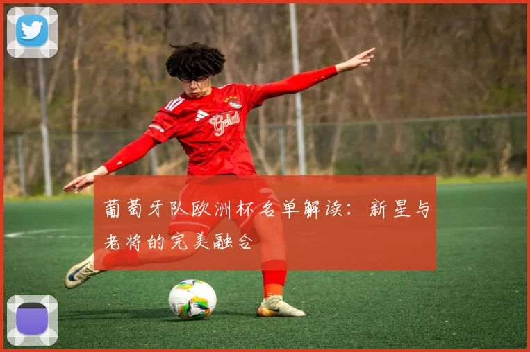 葡萄牙队欧洲杯名单解读：新星与老将的完美融合