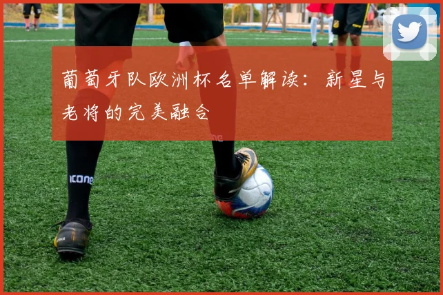 葡萄牙队欧洲杯名单解读：新星与老将的完美融合