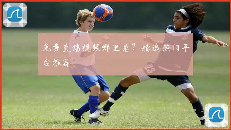 免费直播视频哪里看？精选热门平台推荐