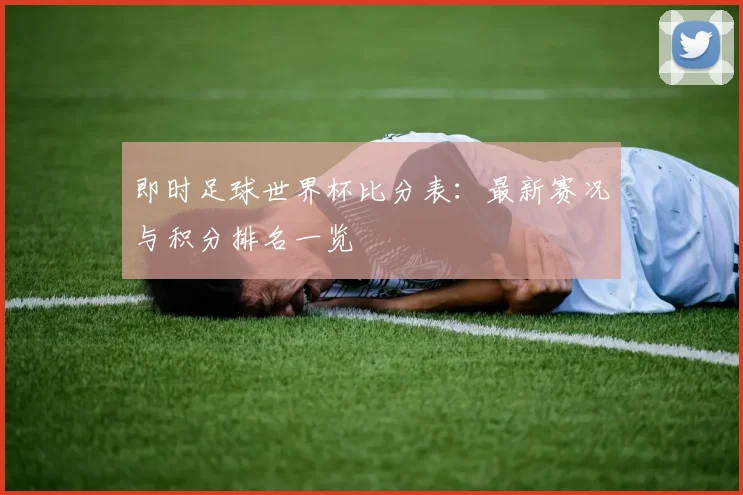 即时足球世界杯比分表：最新赛况与积分排名一览