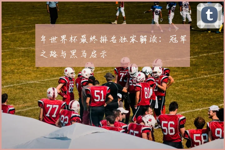 年世界杯最终排名独家解读:冠军之路与黑马启示