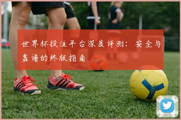 世界杯投注平台深度评测:安全与靠谱的终极指南