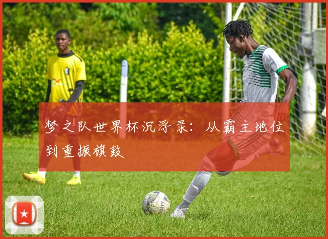 梦之队世界杯沉浮录：从霸主地位到重振旗鼓