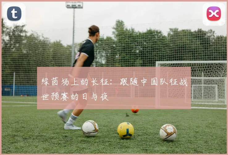 绿茵场上的长征:跟随中国队征战世预赛的日与夜