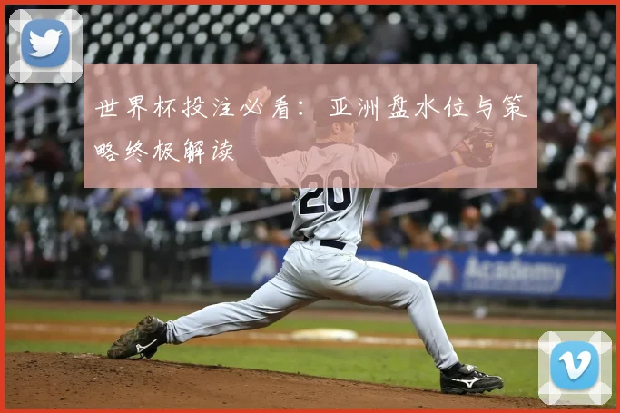世界杯投注必看:亚洲盘水位与策略终极解读