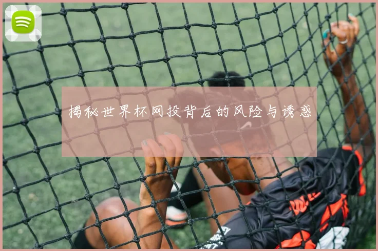 揭秘世界杯网投背后的风险与诱惑
