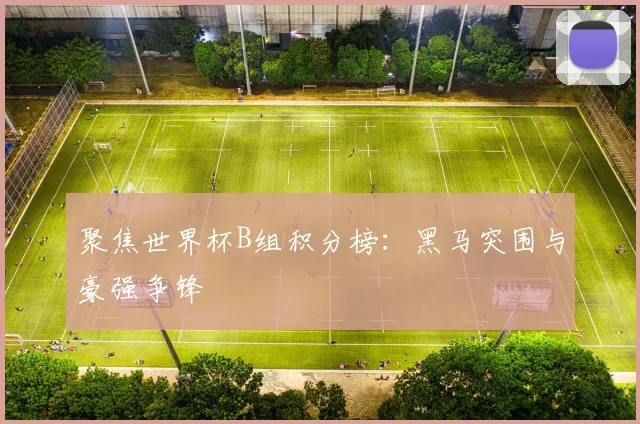 聚焦世界杯B组积分榜：黑马突围与豪强争锋
