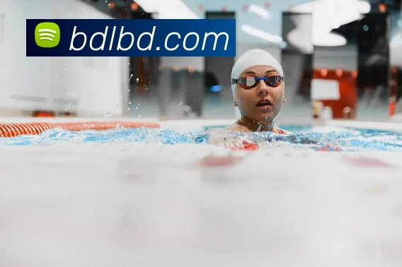 bandao体育官网服务体系